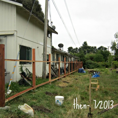 building the fence, then